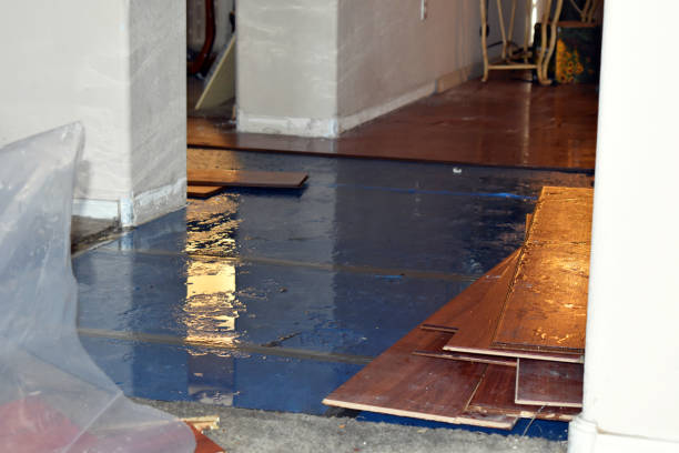 Professional Burst Pipe Cleanup technician working in Katy, TX